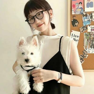 狗狗圣诞节