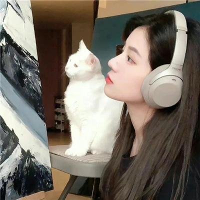 疯狂的钻石